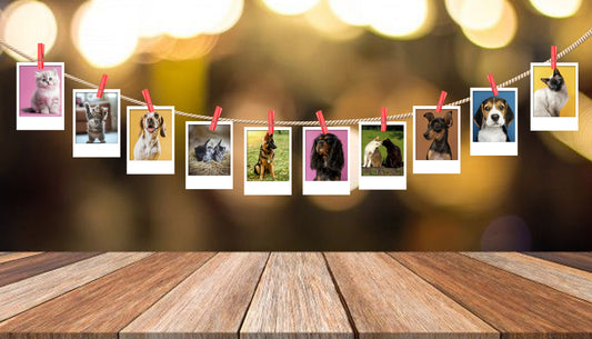 Pack 10 fotos polaroid 7x10 más pinzas de 2.5 cm y cordón